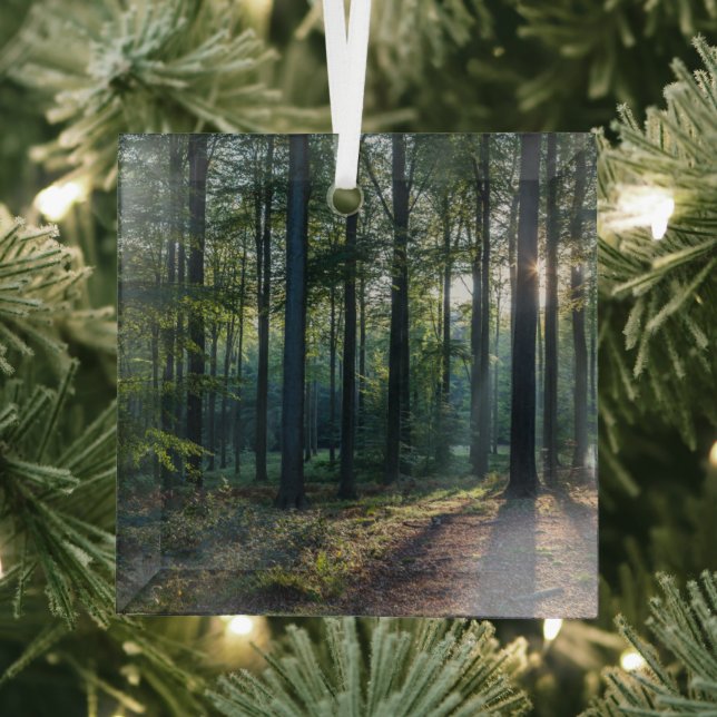 Wälder | Schwarzwald Deutschland Ornament Aus Glas (Insitu)