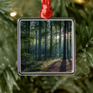 Wälder Schwarzwald Deutschland Ornament Aus Metall