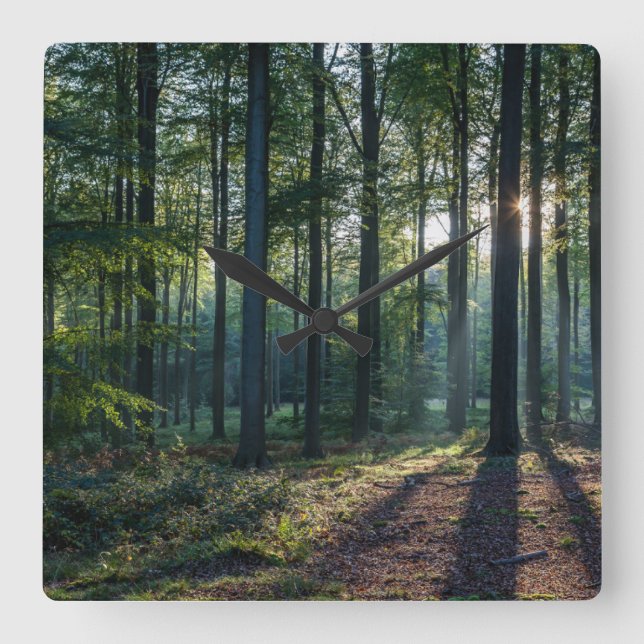 Wälder | Schwarzwald Deutschland Quadratische Wanduhr (Vorderseite)