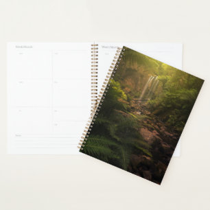 Wälder Sonnenlicht Highlights Wasserfall Planer