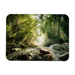 Wälder   Tropischer Dschungelwald Magnet