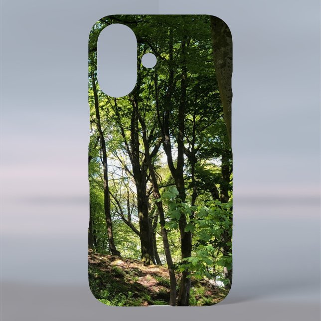 Wälder und Holzbauten iPhone 16 Hülle (Von Creator hochgeladen)