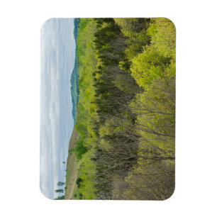 Wälder und Hügel in den Schwarzen Wasserfällen Magnet