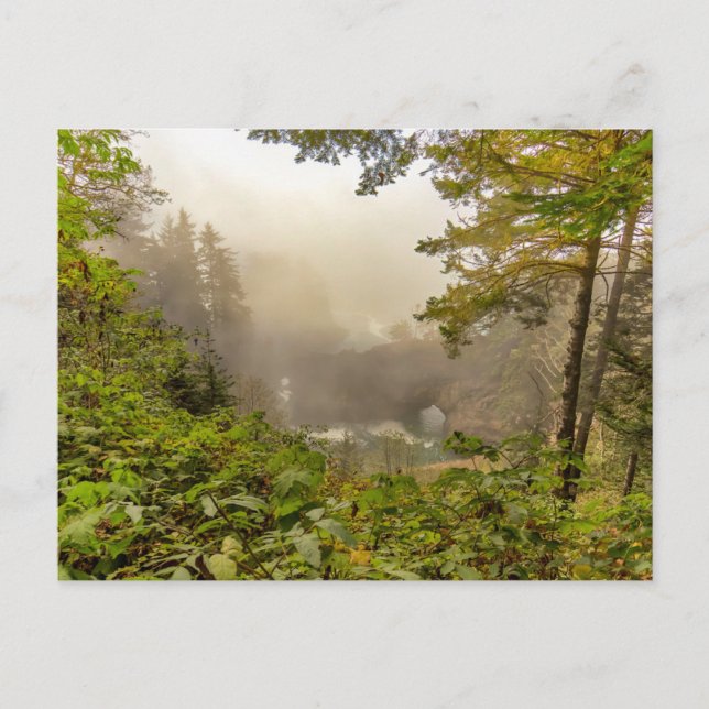 Wälder und Ozeanlandschaften Postkarte (Vorderseite)