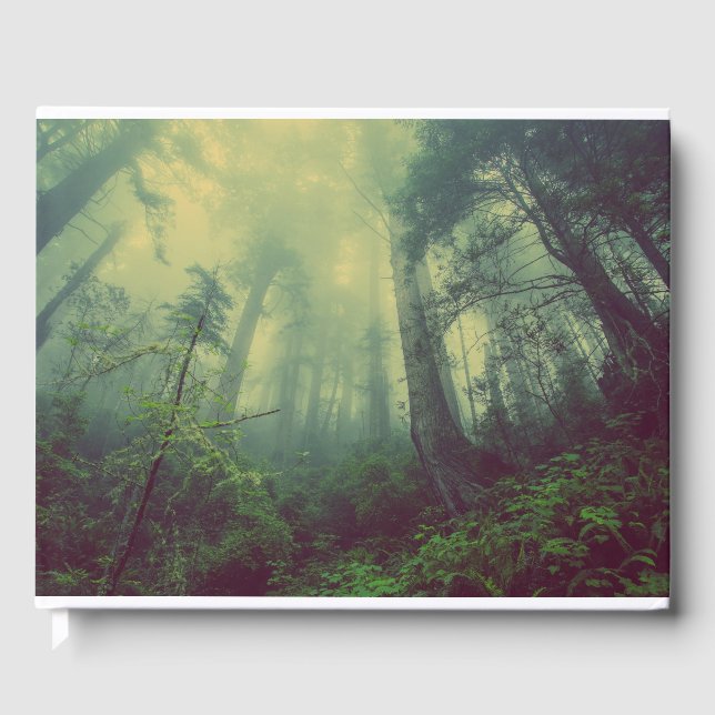 Wälder von unten gästebuch (Vorderseite)