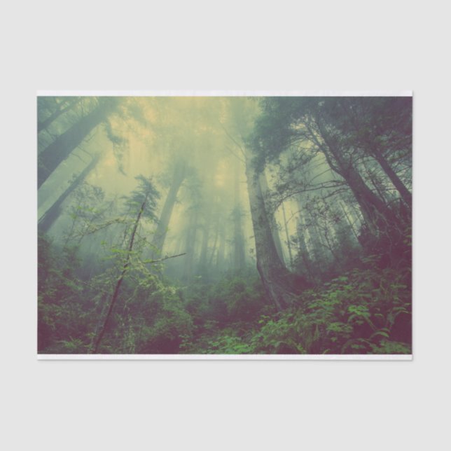 Wälder von unten seidenpapier (Vorderseite)