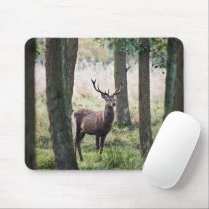 Wälder   Wälder und Rotwild Mousepad