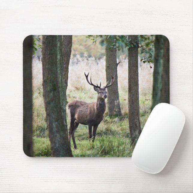 Wälder | Wälder und Rotwild Mousepad (Mit Mouse)