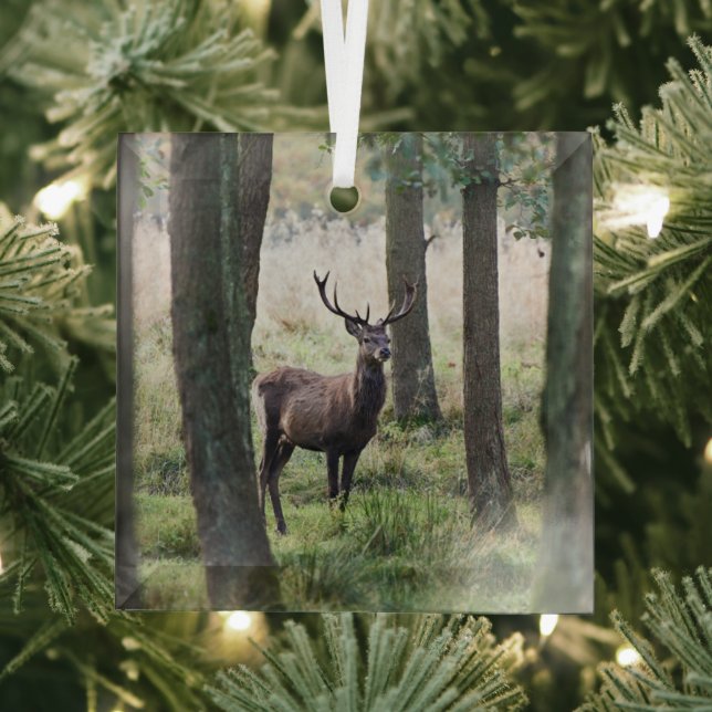 Wälder | Wälder und Rotwild Ornament Aus Glas (Insitu)