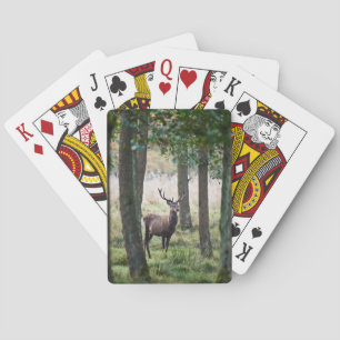 Wälder   Wälder und Rotwild Spielkarten