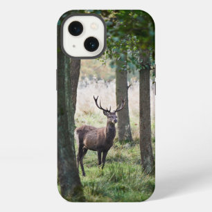 Wälder Waldgebiete & Rothirsche iPhone Hülle