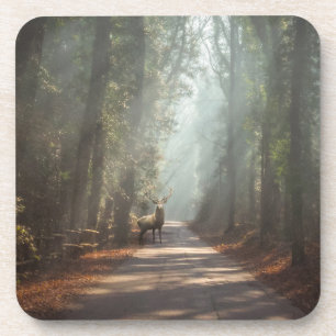 Wälder Waldland Stag Getränkeuntersetzer