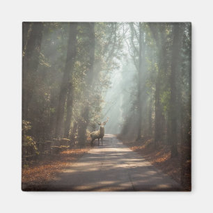 Wälder Waldland Stag Magnet