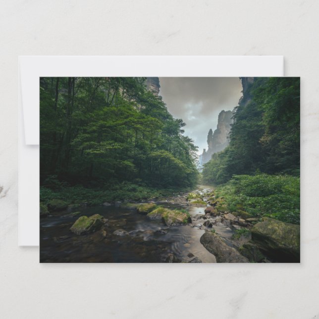 Wälder | Zhangjiajajie National Forest Park Dankeskarte (Vorderseite)