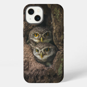 Wälder Zwei Eulen beim Blick iPhone Hülle