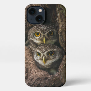 Wälder Zwei Eulen schauen iPhone Hülle
