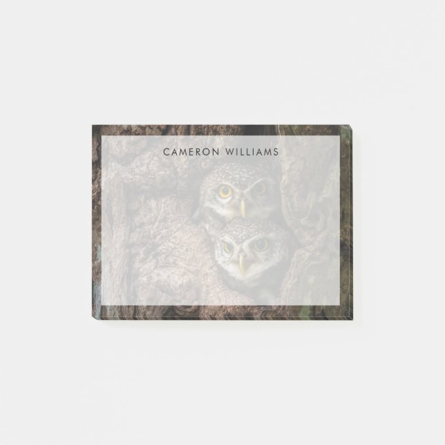 Wälder | Zwei Eulen schauen Post-it Klebezettel (Vorderseite)