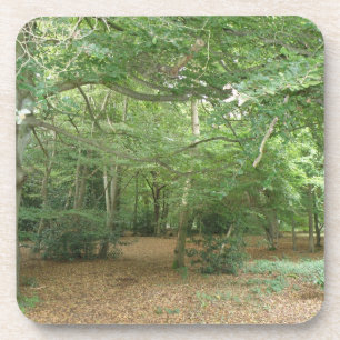 Walderäumungs-Cork-Untersetzer Untersetzer