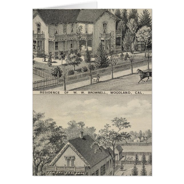 Waldflächen (Vorne)