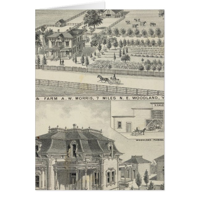 Waldflächen, Bauernhöfe (Vorne)