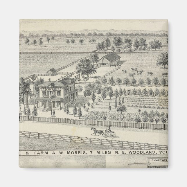 Waldflächen, Bauernhöfe Magnet (Vorne)