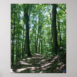 WaldFoto-Plakat Poster