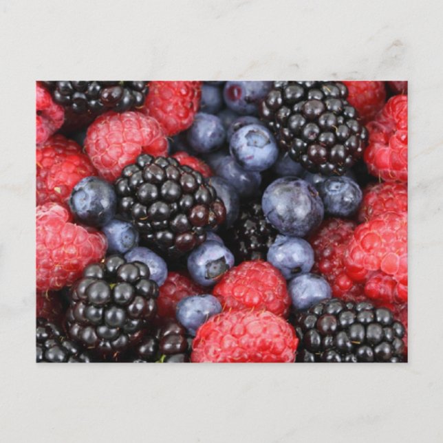 Waldfrüchte Postkarte (Vorderseite)