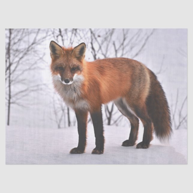 Waldfugenpapier Seidenpapier (Vorderseite)