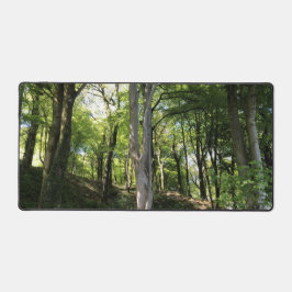 Waldglade in Sonnenlicht auf einem Schreibtischunterlage