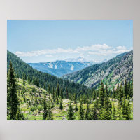 Waldgrundstück mit dichtem Wald // Skigebiet