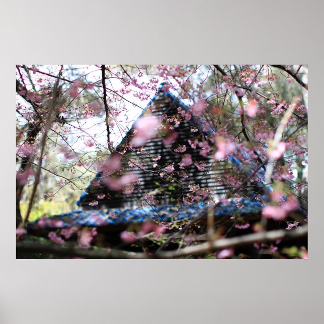 Waldhaus mit rosafarbenen Blume Poster (Vorne)