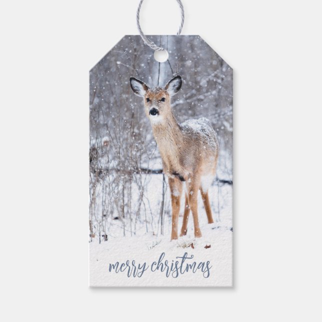 Waldhirsche im Winter Schneeschuhweihnachtsmarken Geschenkanhänger (Vorderseite)