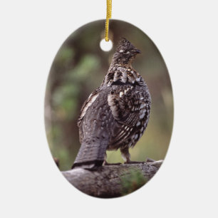 Waldhuhn Keramik Ornament