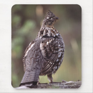 Waldhuhn Mousepad