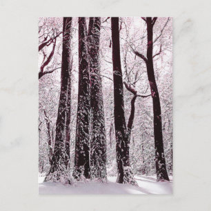 WALDIGE SCHNEEIGE WINTERLANDSCHAFT  POSTKARTE