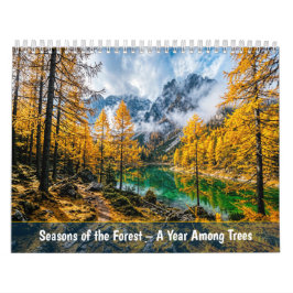 Waldjahreszeiten - Ein Jahr unter Bäumen Kalender