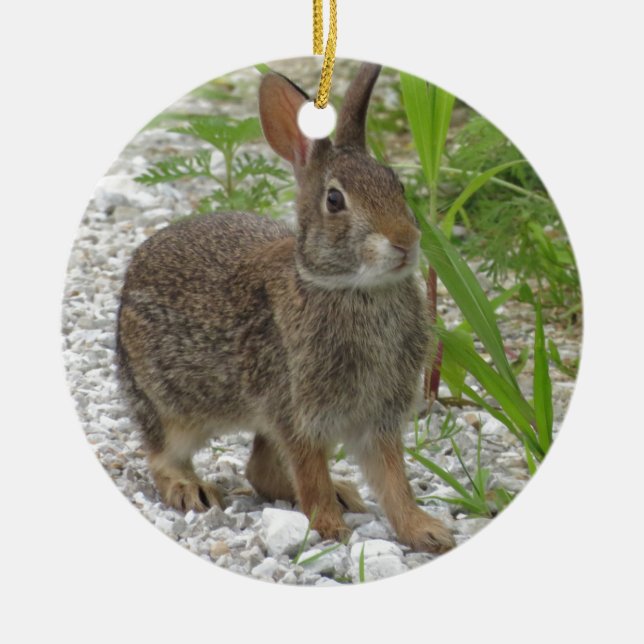 Waldkaninchen-Kaninchen Keramikornament (Vorne)
