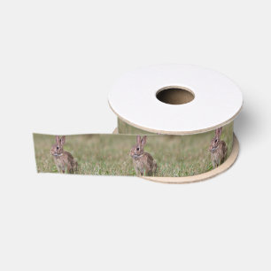 Waldkaninchen-Kaninchen Ripsband