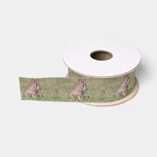 Waldkaninchen-Kaninchen Ripsband