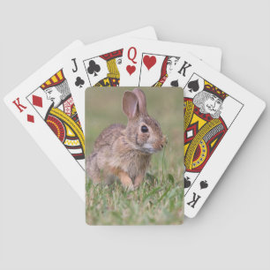 Waldkaninchen-Kaninchen Spielkarten