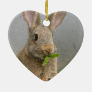 Waldkaninchen-Kaninchen-Verzierung Keramik Ornament