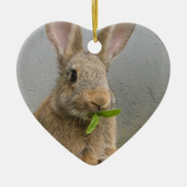 Waldkaninchen-Kaninchen-Verzierung Keramik Ornament (Vorne)