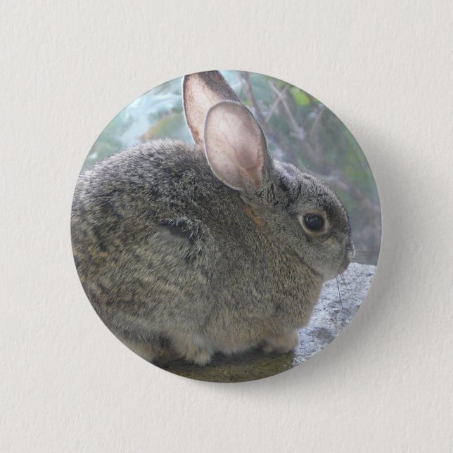 Waldkaninchenkaninchen Button (Vorderseite)