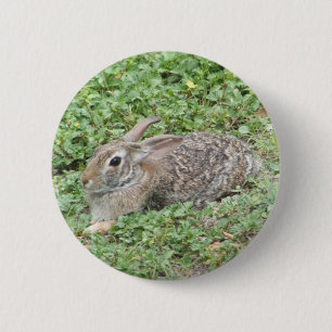 Waldkaninchenkaninchen Button