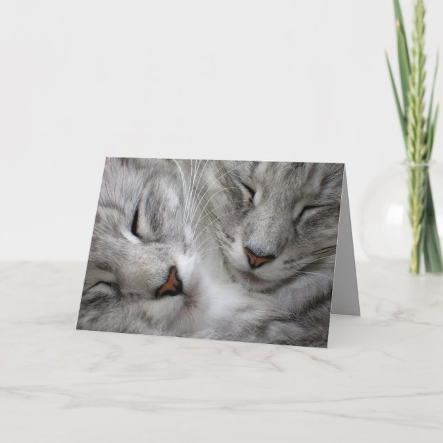 Waldkatzen-Geburtstagskarte Karte (Vorderseite)