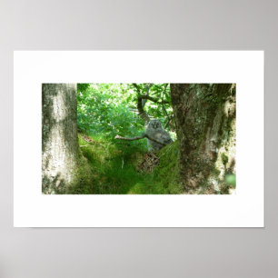 Waldkauzposter in einer alten Eiche Poster