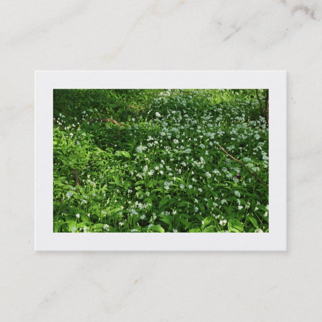 Waldland-Blume (begrenzt) Visitenkarte (Vorderseite)