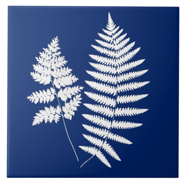 Waldland Fern, Kobalt Blau und Weiß Fliese (Vorderseite)