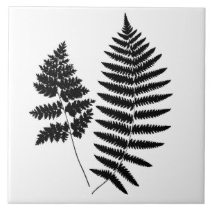 Waldland Fern, Schwarz und Weiß Fliese