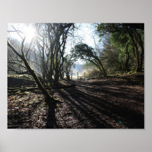 Waldland im Winterkunstplakat Poster